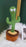 Dancing Cactus Toy – Talking, Singing & Light-Up Fun for Kids - PindiPop